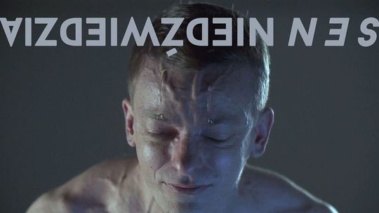 Wystawa "Sen niedźwiedzia" Galerii Labirynt dostępna online