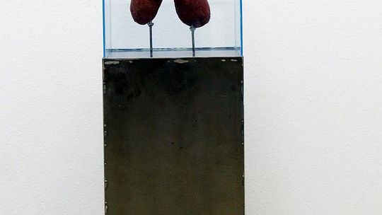 Wystawa \"Transfusion” w Galerii Białej