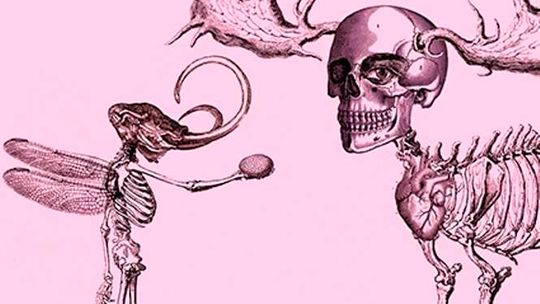 Wystawa "Uporczywe upodobanie" w Galerii Labirynt