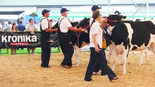 Wystawa Zwierząt Hodowlanych w Sitnie (program)