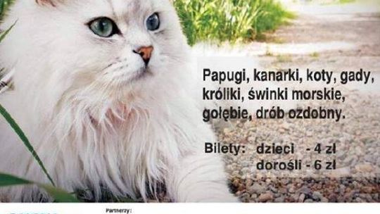 Wystawa zwierząt w Galerii Olimp