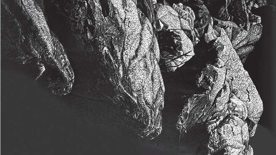 Wystawy Barbary i Stanisława Bałdygów w Lublinie