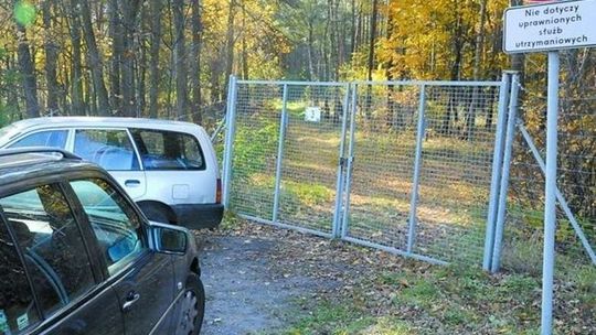 Wysyp grzybów. Grzybiarze wchodzą nawet na poligony