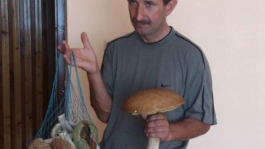 Wysyp grzybów w lubelskich lasach (zdjęcia od Czytelnika)