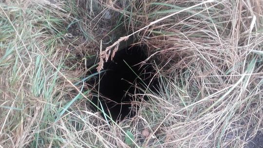 Wyszedł na spacer i zaginął. Poszukiwania zaprowadziły ratowników do tego zbiornika