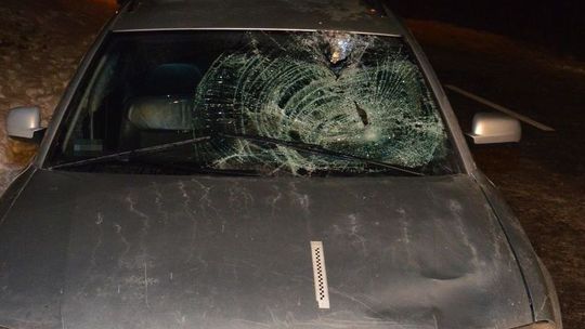 Wyszedł zza busa wprost na drogę, kierująca nie miała szans zahamować