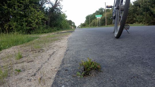 "Wyszła kpina". Nowa droga, a już się zieleni