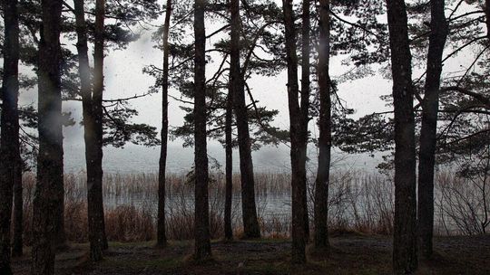 Wyszła od matki i ślad po niej zaginął. Tragiczny finał poszukiwań 