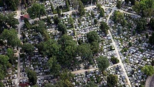 Wyszukiwarka grobów. Jak znaleźć grób na cmentarzach w Lublinie i woj. lubelskim? 
