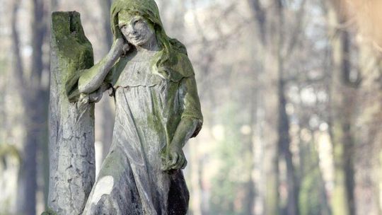 Wyszukiwarka grobów Lublin: Majdanek, Lipowa. Wyszukaj grób bliskiego