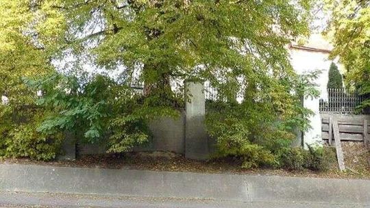 Wytną drzewa przy kościele, posadzą nowe