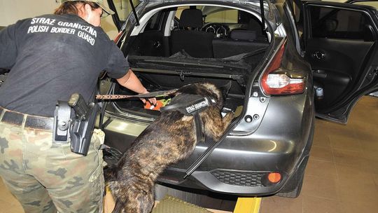 Wywąchał narkotyki za 3,8 mln zł