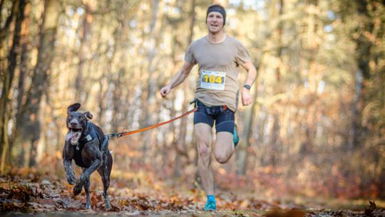 Wzorowa współpraca człowieka z psem. Mieszkaniec Lublina mistrzem Polski w canicross