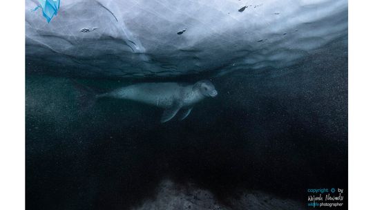 XLI Zamojskie Spotkanie z Fotografią. Wojciech Nawrocki w roli głównej