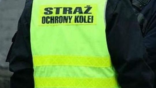Z farbą na pociąg. Grafficiarz w rękach sokistów