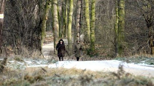 Z kijkami przez powiat puławski. Gdzie można uprawiać nordic walking?