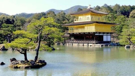 Z Lublina do Japonii. Jak wygląda życie w kraju kwitnącej wiśni?