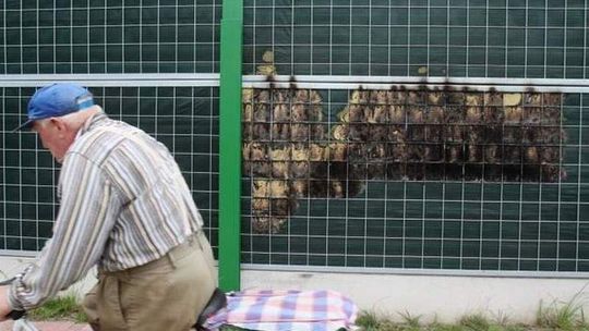 Z nudów podpalał ekrany akustyczne