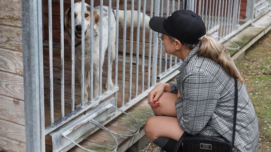 Z wizytą u braci mniejszych