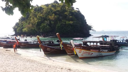 Z Zamościa do Tajlandii. ZDK zaprasza w podróż