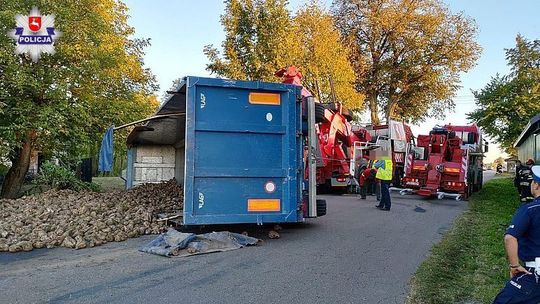 Za bardzo się rozpędził. Z przewróconej naczepy wysypały się buraki
