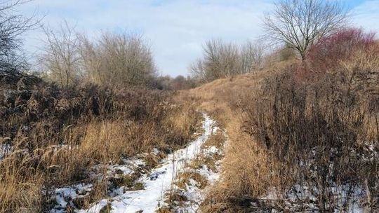 Za i przeciw blokom na górkach czechowskich. Pytanie o odkupienie terenu przez miasto