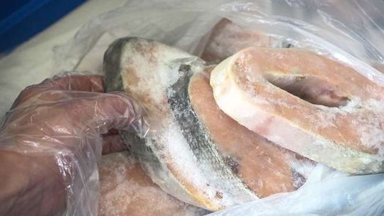 Za mało ryby w rybie. Uważaj na mrożonki w sklepie