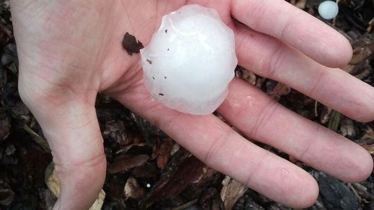 Za nami burzowa noc. Strażacy mieli pełne ręce roboty