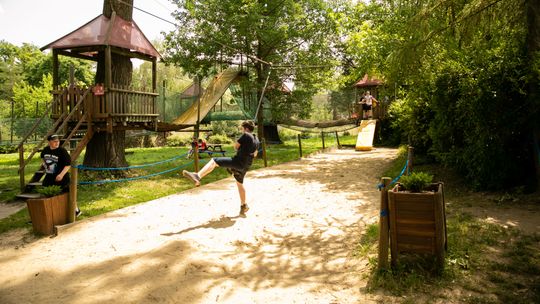 Za zobaczenie żyrafy jeszcze drożej. Kolejna podwyżka w ZOO w Zamościu. Nowy cennik