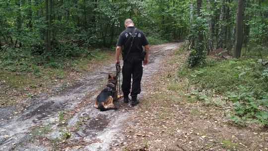 Zaatakował policjantów widłami. Odnaleźli go w innym województwie