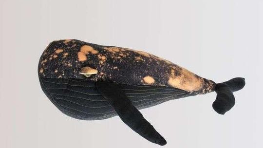 Zabawki też mogą być sztuką. Zobacz prace uczniów Liceum Plastycznego w Nałęczowie