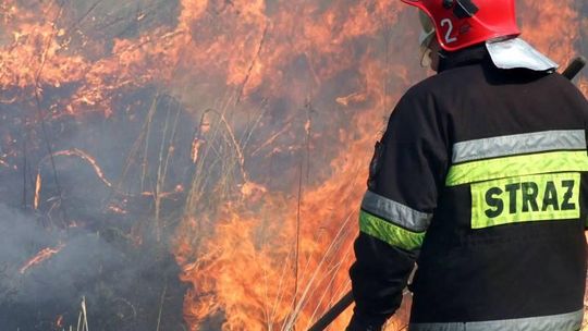 Zabiele: W pożarze spłonęło prawie 21 hektarów lasu