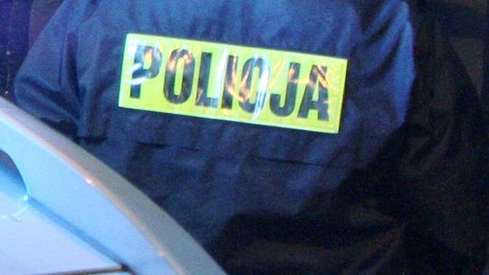 Zabił trzy koty metalową rurką. Zwłoki wrzucił do rzeki