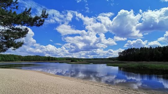 Żabim krokiem po parku narodowym. Wszystkie atrakcje za darmo 
