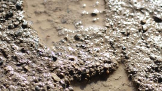 Zabójcę zdradził ślad buta. To był sąsiad