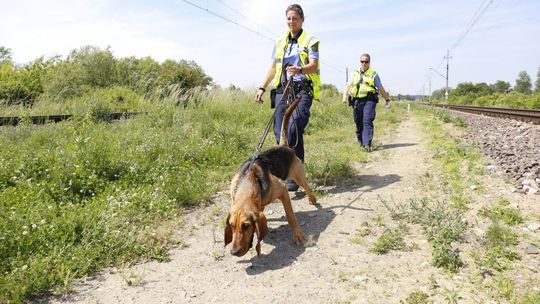 Zabójstwo w Trawnikach. Psy z Saksonii szukały zabójcy 38-latki [zdjęcia]