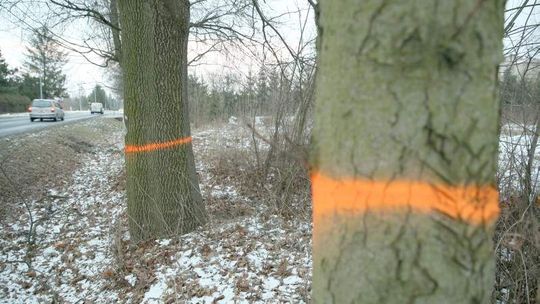 Zachodnia obwodnica Lublina w budowie. Remonty w planach