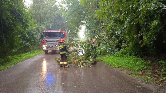Zaczęło się. Ziemia już nie przyjmuje wody, lubelscy strażacy ratują domy i sklepy