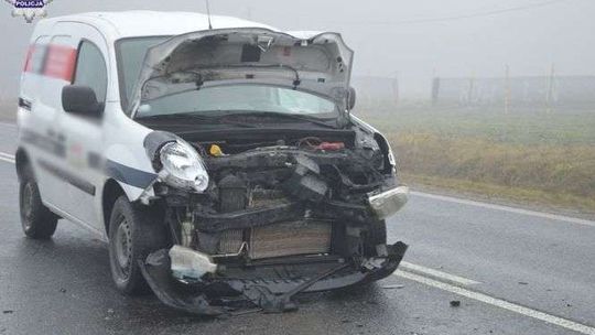 Zahamowała, gdy na jezdnię wybiegł łoś. Kierowca renault nie zdążył