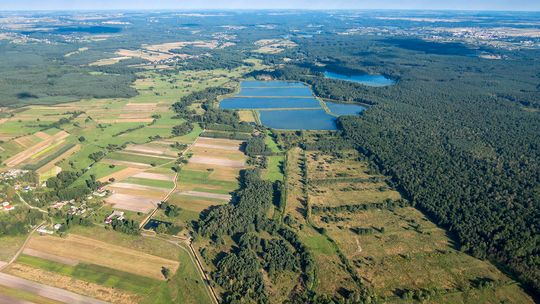 Zainwestują w dawne grodzisko. Powstanie wieża widokowa i ścieżka edukacyjna