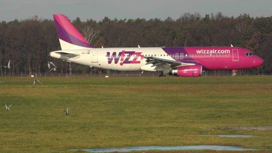 Zające lokatorami Portu Lotniczego Lublin