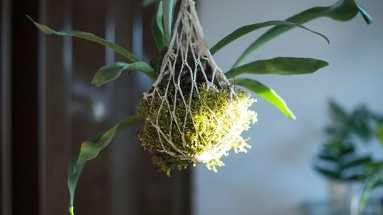 Zajęcia dla dzieci w Warsztatach Kultury