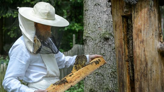 Zajęcia z cyklu "Sztuka wrażliwości" we wrześniu