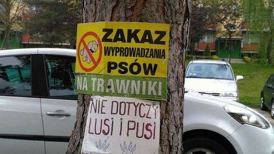 "Zakaz wyprowadzania psów na trawniki". Jest zabawna odpowiedź