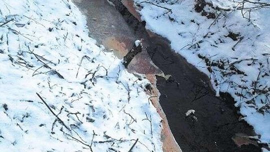 Zakłady mięsne znowu wypuściły krew i ścieki