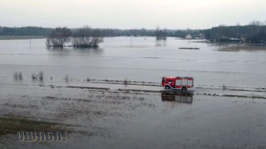 Zalane pola, drogi, posesje i budynki na Mazowszu. U nas na Bugu przekroczone stany ostrzegawcze, a w Malowej Górze na Krznie stan alarmowy