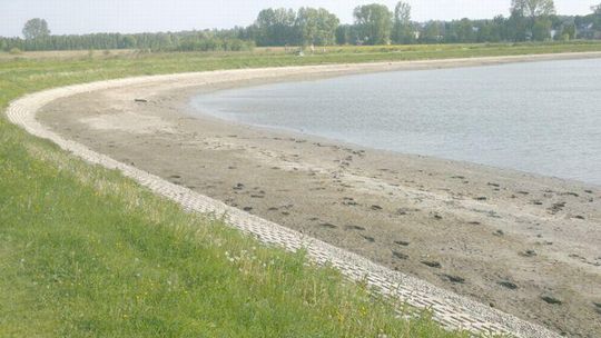 Zalew w Kraśniku opada. A co z rybami?