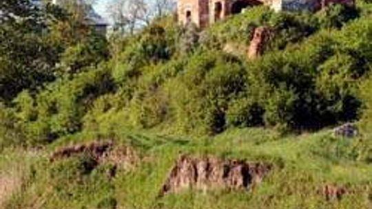 Zamek w Zawieprzycach (nr 41) - 12 głosów