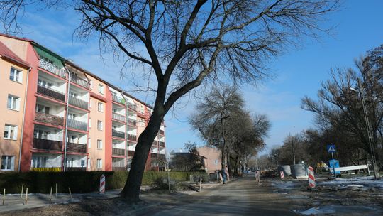 Zamiast 108 drzew wytną 102 po interwencji mieszkańców. Powstaną miejsca parkingowe