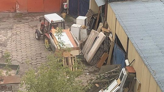 Zamiast czekać na poród, kobieta walczy z pluskwami w mieszkaniu